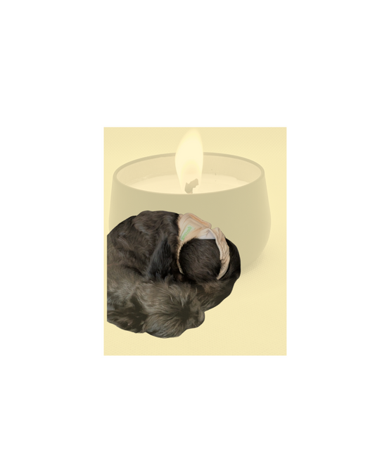 Pawsitively Peaceful: Finding Natural Relaxation Inspired by Our Dogs