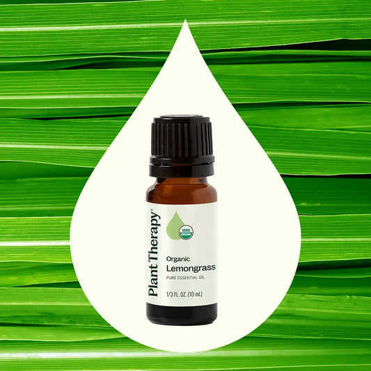 organic lemongrass essential oil with green background