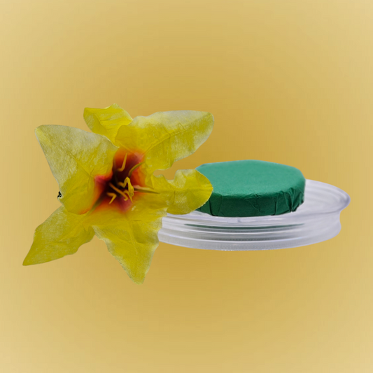 Verity Collectives Cedar Mint Shower Steamer wrapped in dark green tissue paper with a yellow flower and light yellow background