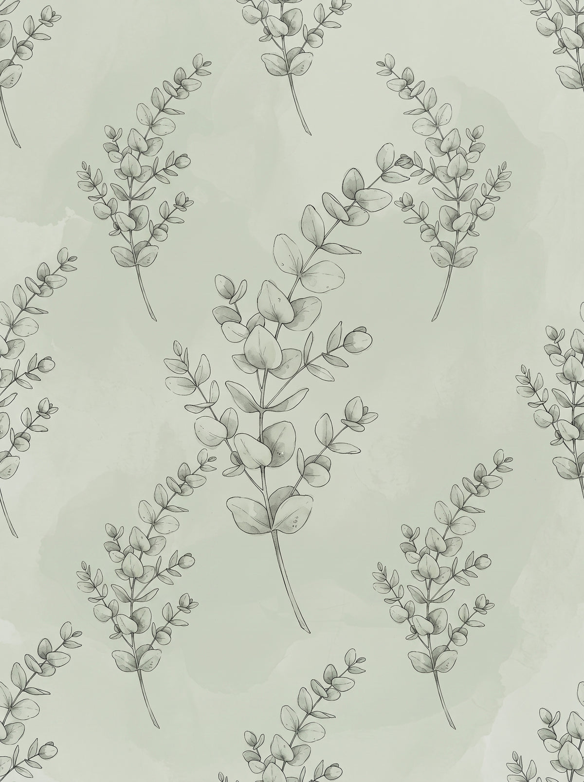 Sage Green Eucalyptus Botanical Wall Art Print for Calm Spaces