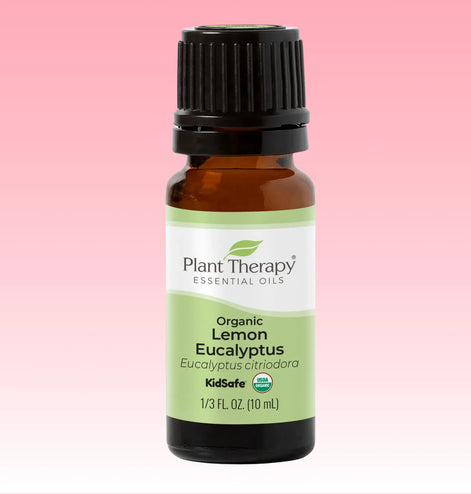 Lemon eucalyptus organic essential oil for diffuser and respiratory aromatherapy