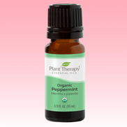 Peppermint organic essential oil for diffuser focus and refreshing aromatherapy