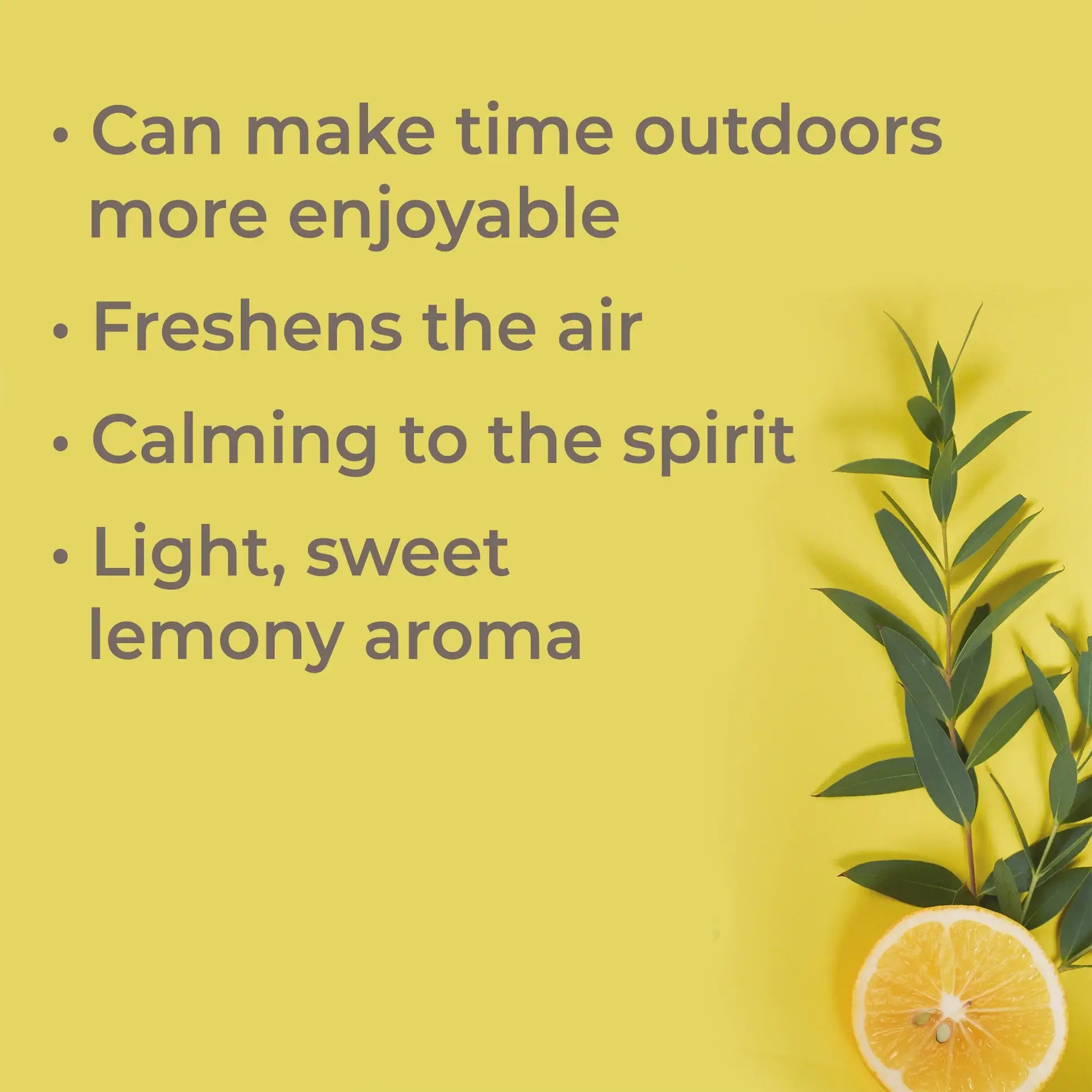 bullet list of benefits of plant therapy lemon eucalyptus oil
